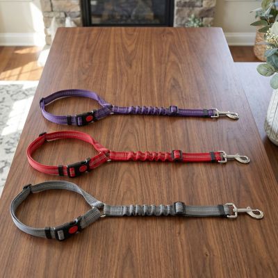 Ceinture de sécurité pour chien trois modèle