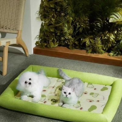 Chilldog chien chat tapis rafraichissant chien extra large