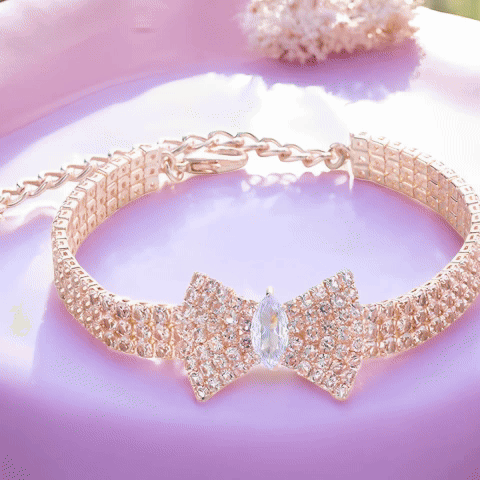 Collier chien nœud papillon video