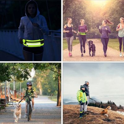 Power run laisse canicross mains libres