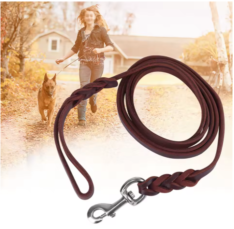 Smartleash laisse chien cuir