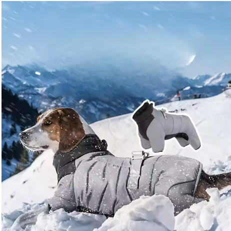Chien coucher neige manteau chien combi