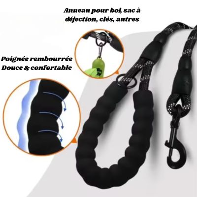 descriptif poignee laisse pour chien