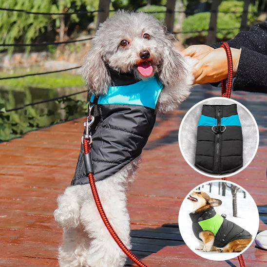 Double mousqueton manteaux pour chien