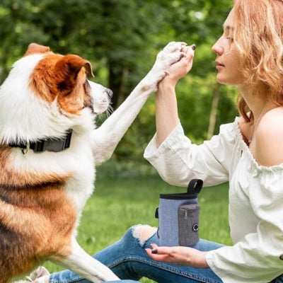 Femme tape patte chien sac banane entraînement chien