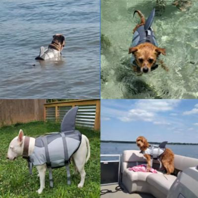 Gilet de sauvetage chien oceanpaw quatre situation