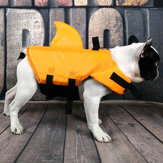 Gilet de sauvetage chien sécurité indispensable