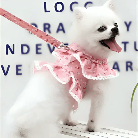 harnais pour petit chien ergo florale