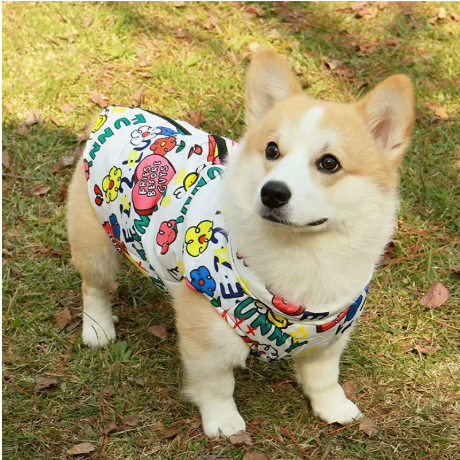 Imperméable pour chien chaux