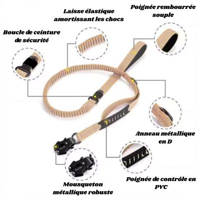 laisse pour chien descriptif