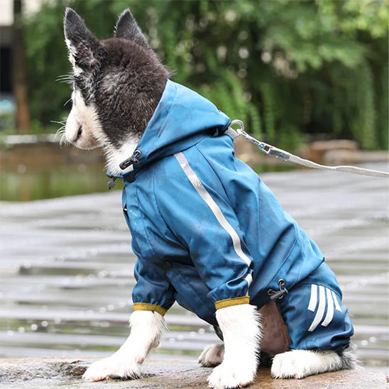 Manteau pour chien bleu husky