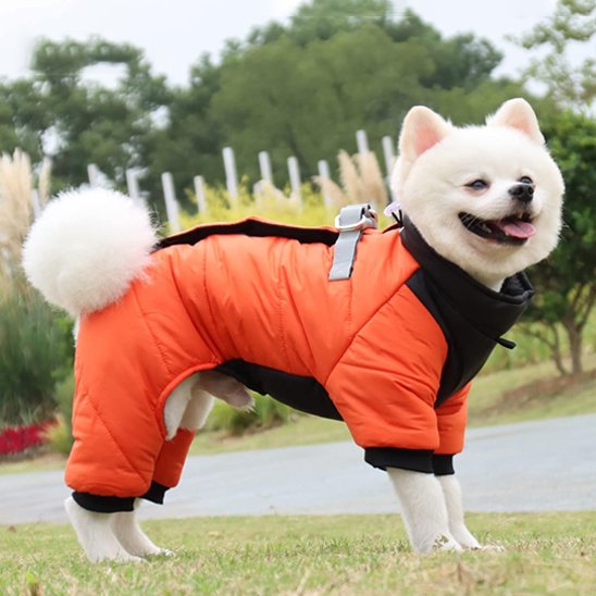 manteau pour chien combi orange n