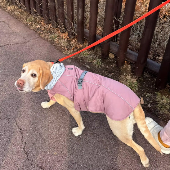 manteau pour chien rose