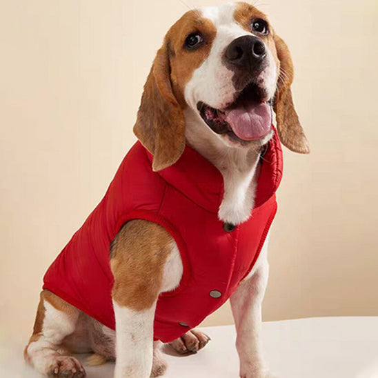 manteau pour chien rouge