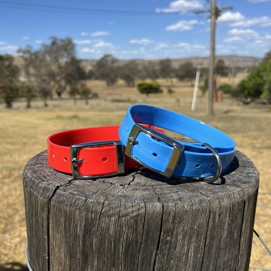 modele collier chien