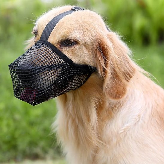 Muselière chien légère respirante