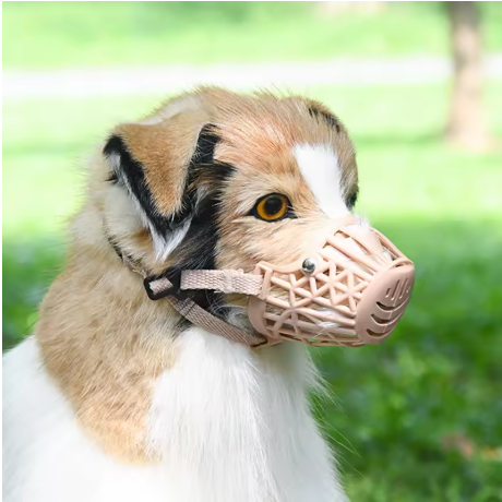 Muselière pour chien couleur chair