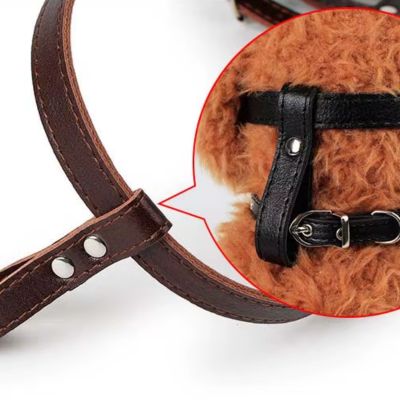 relaxmuzzle muselière pour chien attache avec collier