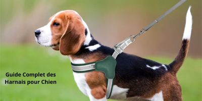 Harnais pour chien ergonomique