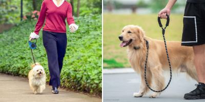 Laisse classique et laisse enrouleur