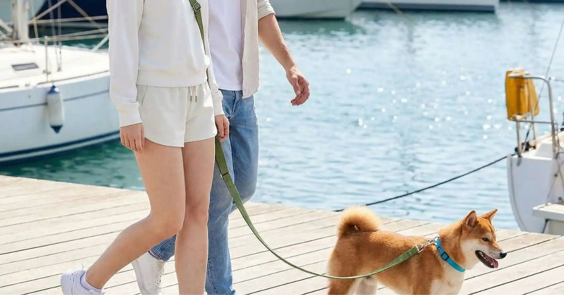 laisse mains libre pour chien double poignée pour plus de sécurité