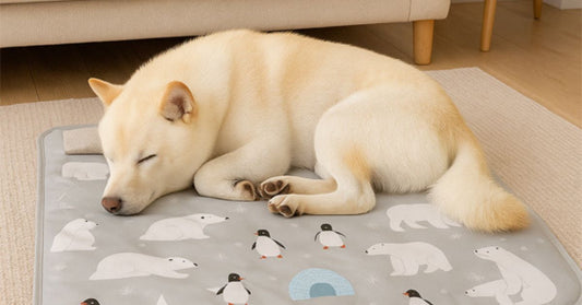 Tapis rafraîchissant pour chien confortable et respirant