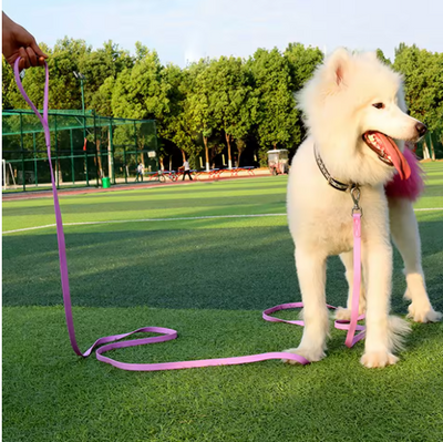 longe pour chien 3,6,15 mètres