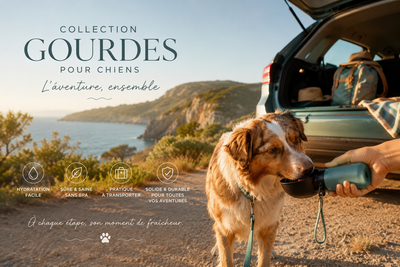 Gourde pour chien 2 en 1 grande capacité