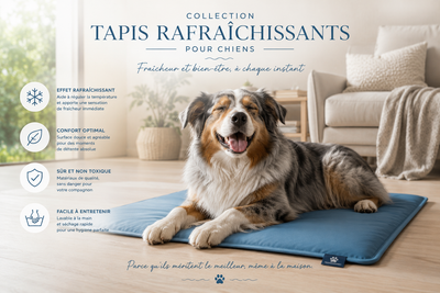 Tapis rafraichissant pour chien confortable et respirant