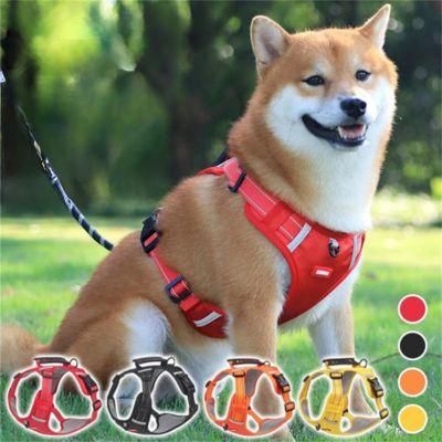 Harnais pour chien