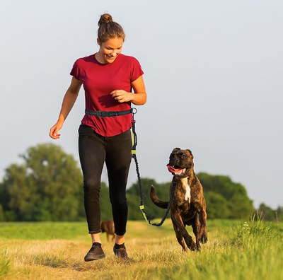 laisse canicross chien et maitresse cours