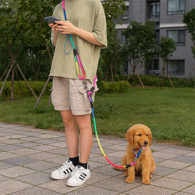 laisse mains libres été chien assis maître écris sur téléphone