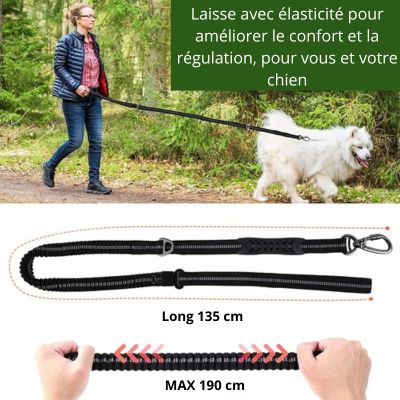 Laisse multifonctions™ ‡  The Safety Leash™