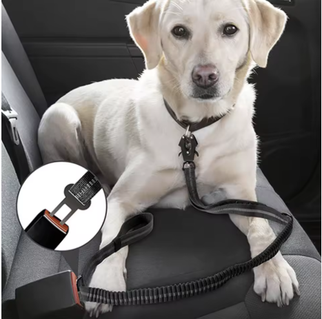 AutoDogClip bouche voitureattache ceinture sécurité chien