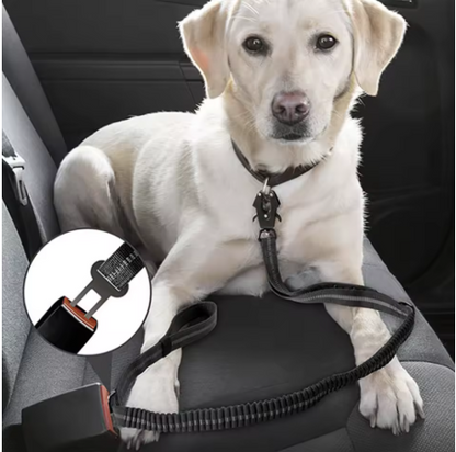 AutoDogClip bouche voitureattache ceinture sécurité chien