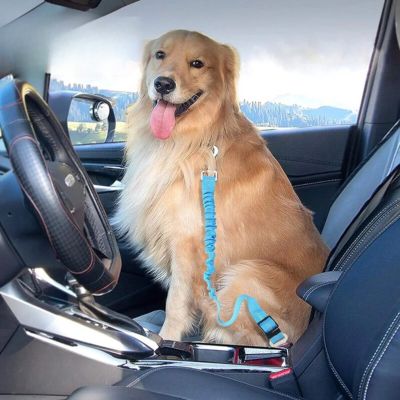 Ceinture de sécurité voiture I Car seat blet™