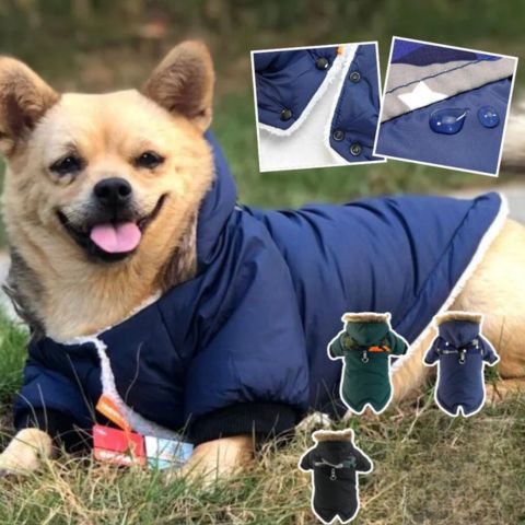 Dog Coat™ I Doudoune pour chien