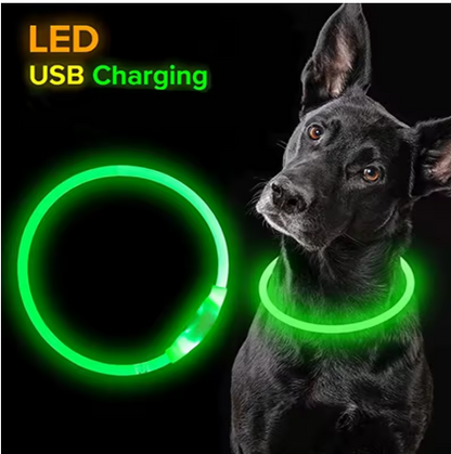 Chargeur-usb-collier-lumineux-chien