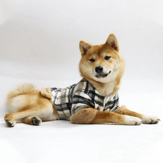 Chien repose manteau pour chien