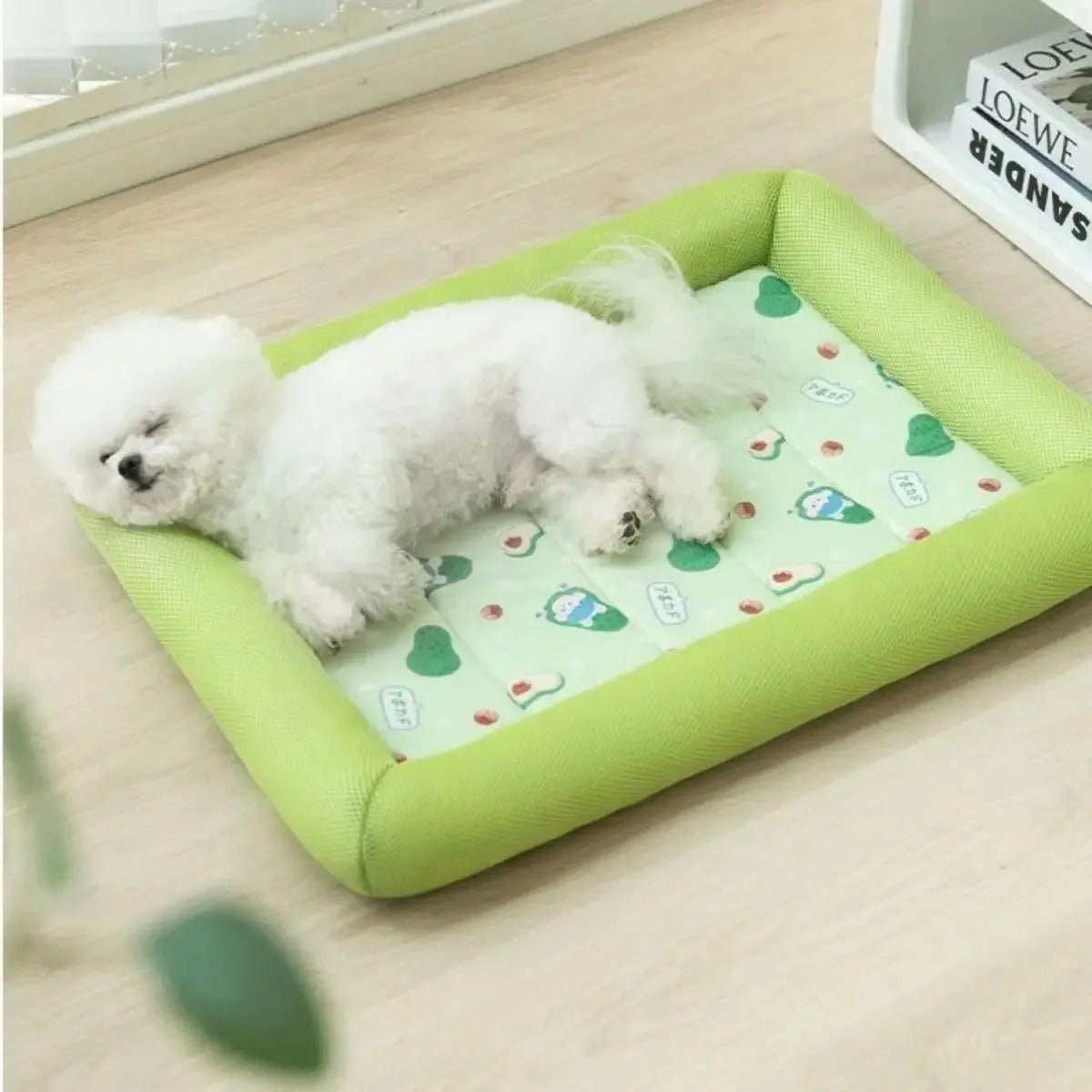 Chilldog caniche dors profondement sur tapis rafraichissant chien