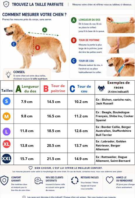 CoatFlash guide taille manteau pour chien