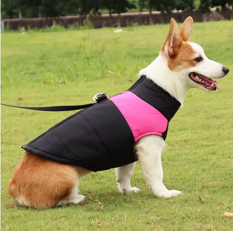 Coatstorm manteaux pour chien hiver noir rose