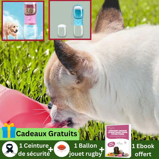 Botte & bowl™ I Bouteille et bol pour chien