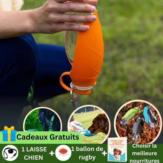 Dog Bottle™ I Gourde d'eau pour chien