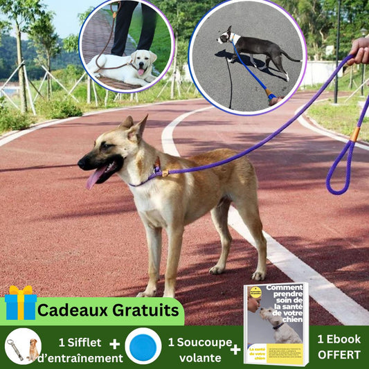 Laisse de dressage ‡ Training leash™