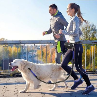 Cross dogline laisse canicross mains libres couple faisant jogging