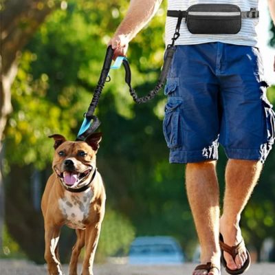 Cross dogline laisse canicross mains libres homme promène chien