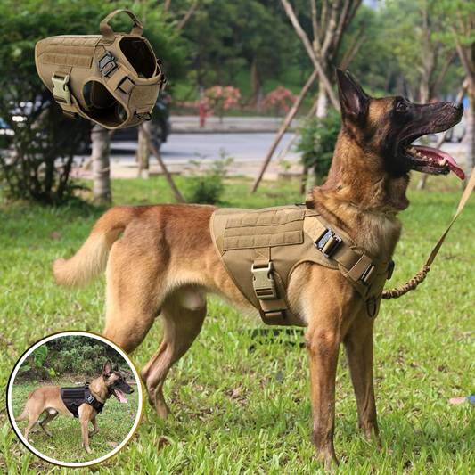 Harnais militaire ‡ Dog training harness™