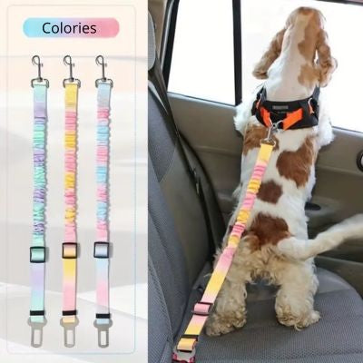 Dogsafe belt couleur ceinture de sécurite pour chien