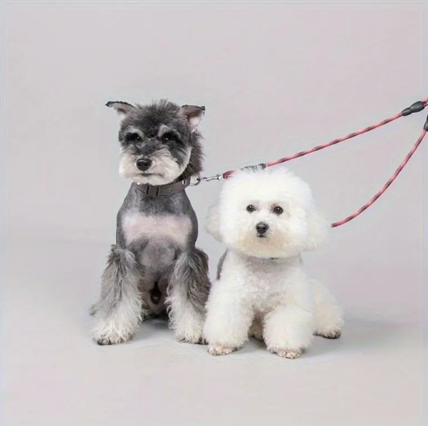 Double laisse pour chien rouge